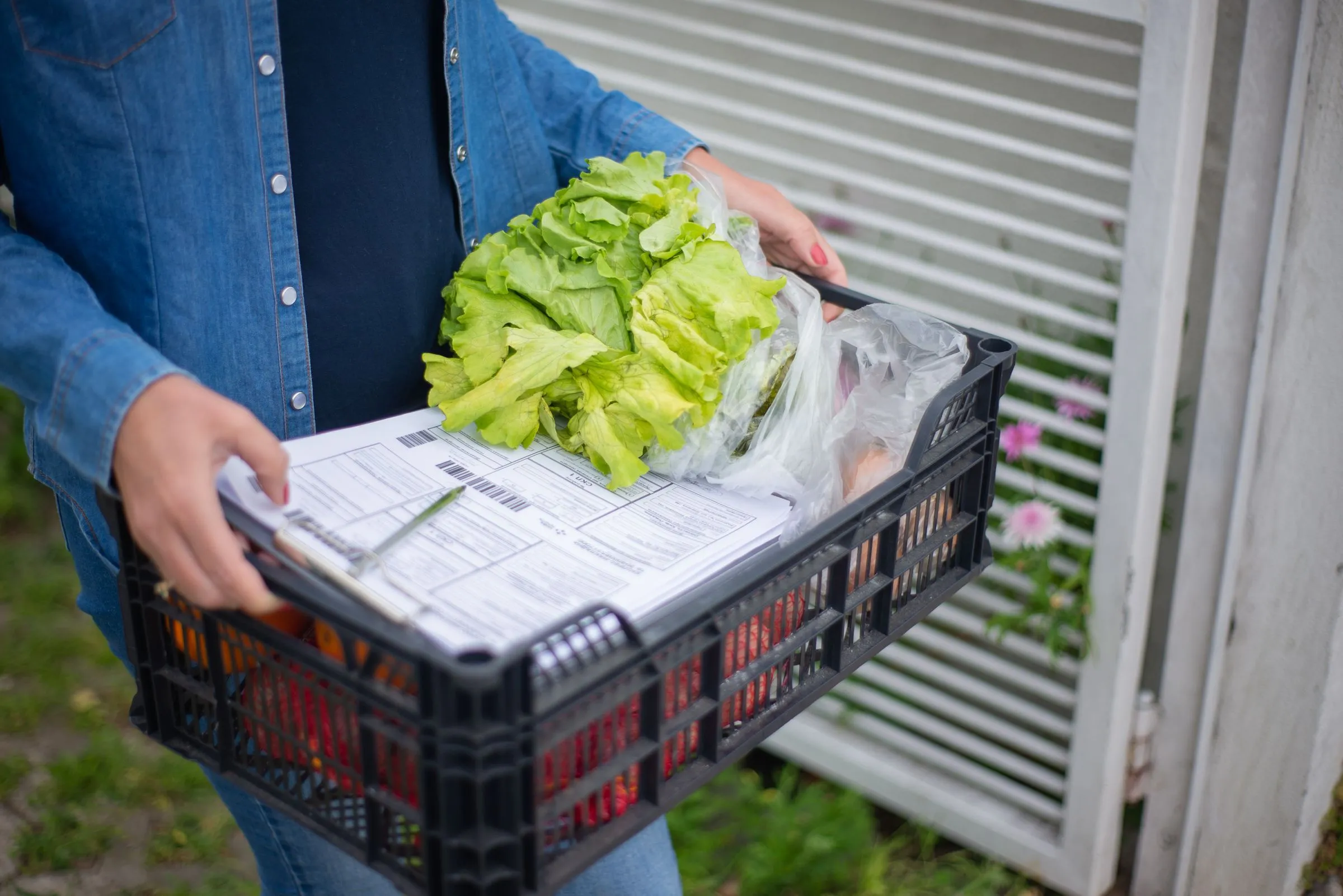 A volunteer carrying a crate of fresh lettuce to a front door